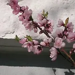 埃伯尔勒公寓 *