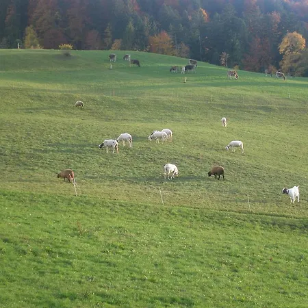 Apartamento Haus Eberle Hittisau