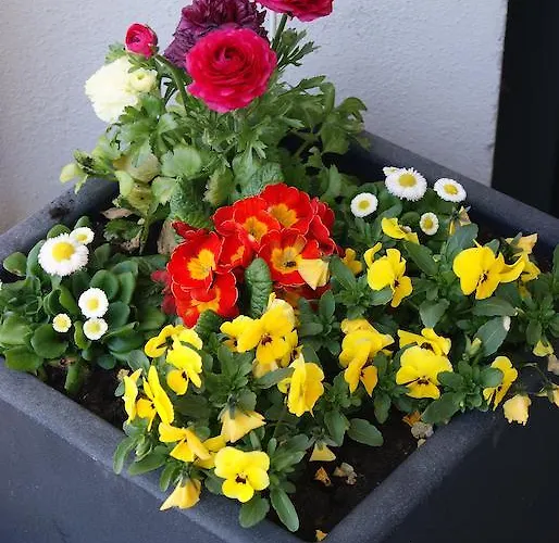 Haus Eberle Hittisau