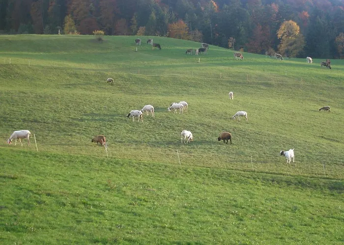 Appartamento Haus Eberle Hittisau